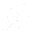 DDOS攻击教程